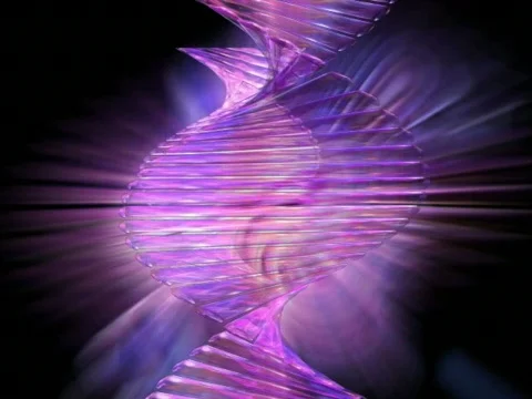 DNAtransfigure Stock-Footage 352474