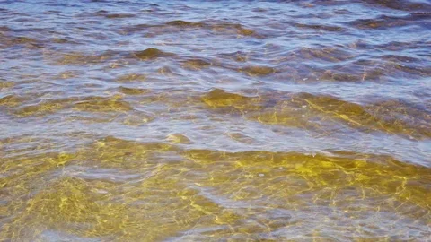 Dnepr river closeup, slow motion Stock Footage 104919798