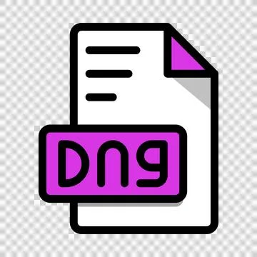 DNG File Format Icon. type file extension symbol icons. Vector illustration. Stock Illustration