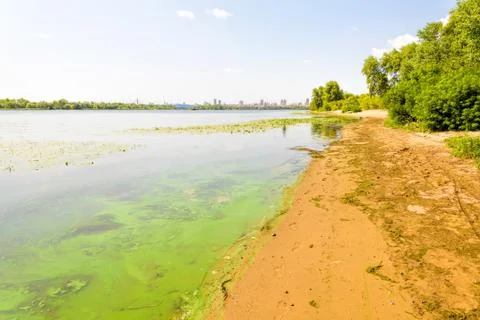 Dnieper River Beach Фото