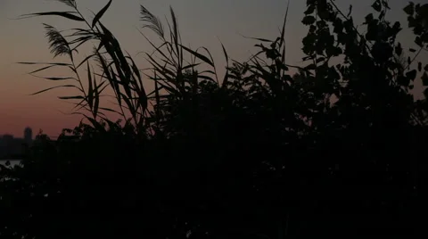 Dnipro River at Sunset Vídeo Stock 53847652