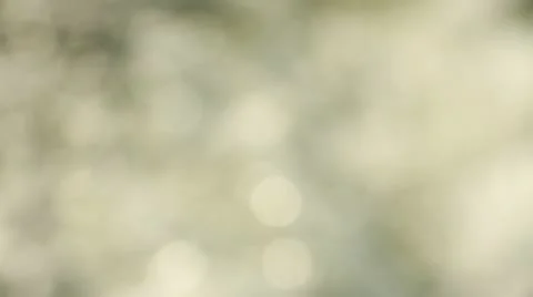 Dnister river Stock Footage 18385210