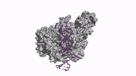 DNMT3, rotating model Stock Footage 83652704
