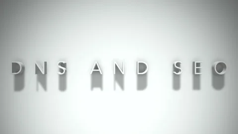 Dns and seo 3D title animation with shadows on a white background Stock Footage 296922060