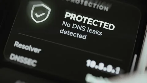 DNS protection reports no leaks detected Stock Footage 342493428