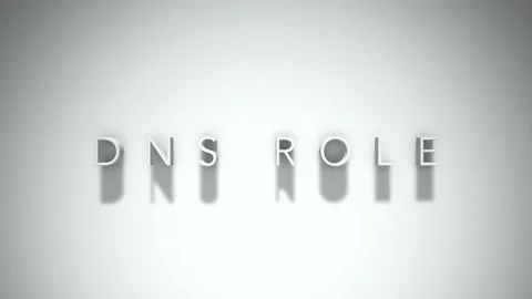 Dns role 3D title animation with shadows on a white background Stock Footage 296922105