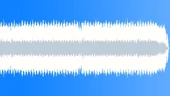 Do It Mr President2 Stock Music