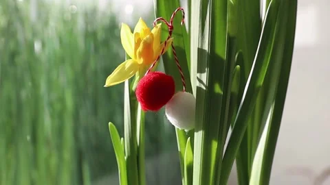 Do it yourself cute martisor with two balls on a daffodil stem. Stock Footage 328616386