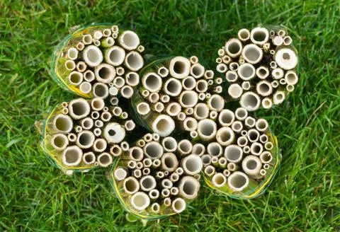 Do it yourself insect hotel made from hollow plant stalks - standing, from ab Stock Photos