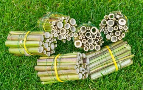 Do it yourself insect hotel made from hollow plant stalks - standing and lyin Stock Photos