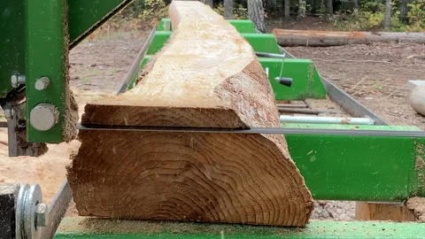 Do it yourself lumber cutting portable sawmill. 스톡 동영상 176352019