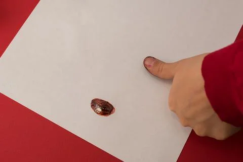 Do it yourself. Making a greeting card for Christmas or New Year. Crafts for the Stock Photos