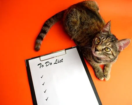 To do list. Notepad with a white sheet of paper, next to the cute tabby cat o Stock Photos