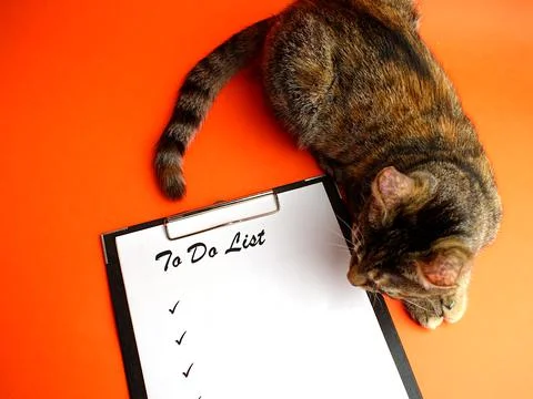 To do list. Notepad with a white sheet of paper, next to the cute tabby cat o Stock Photos