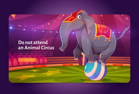 Do not attend animal circus banner with elephant Stock Illustration
