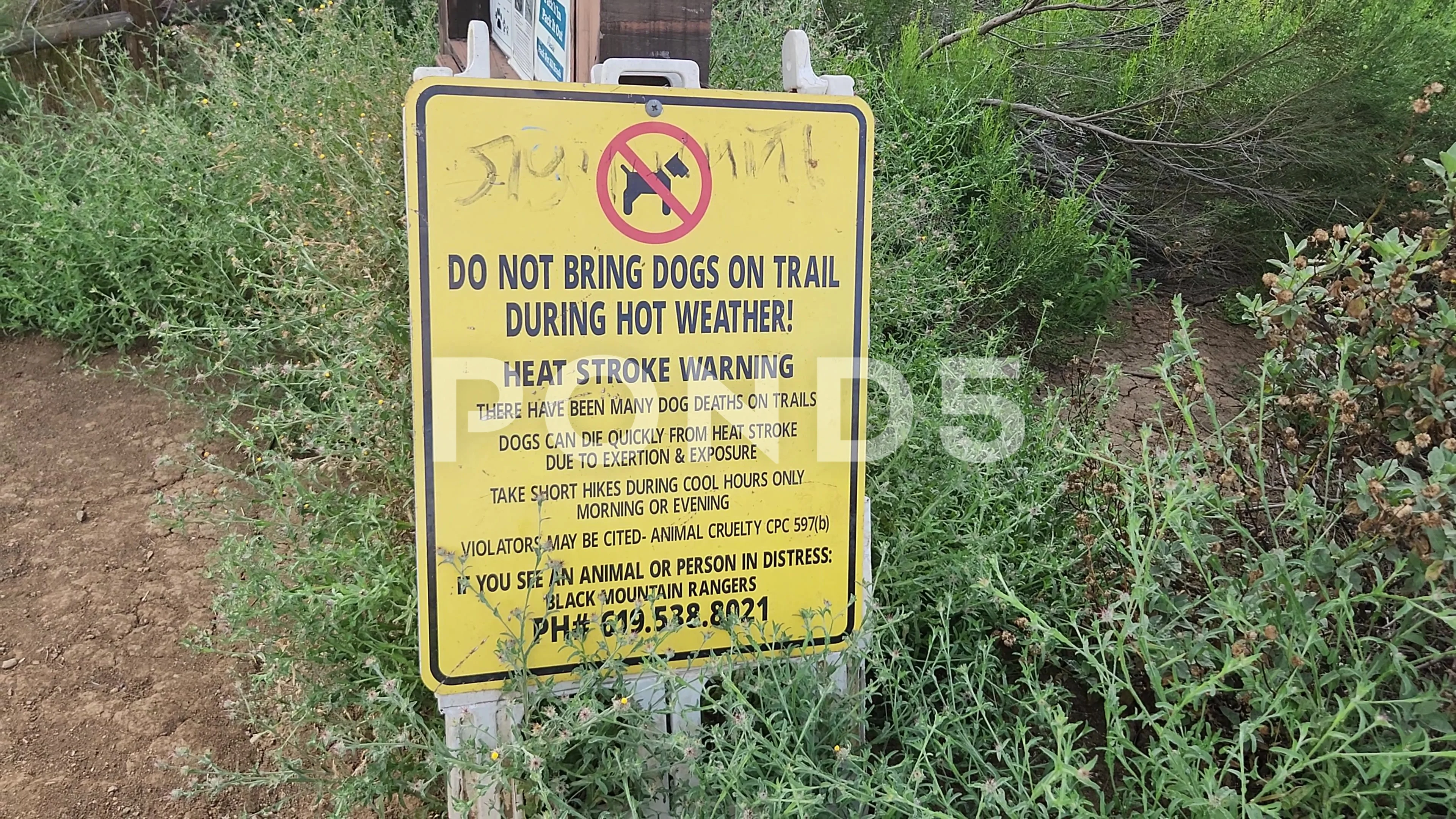 Do Not Bring Dogs on Trail During Hot Stock Video Pond5