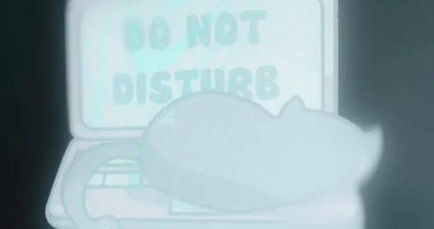Do not disturb text on laptop screen with a cat sleeping on keyboard Stock Footage 314505238