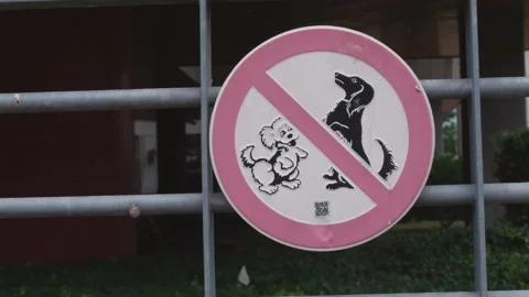 Do not enter with dogs sign Stock Footage 204151081