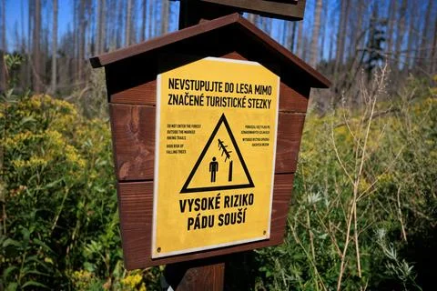 Do not enter the forest outside the marked hiking trails. High risk of fallin Stock Photos