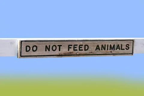 Do not feed animals board isolated on gradient background . Stock Photos