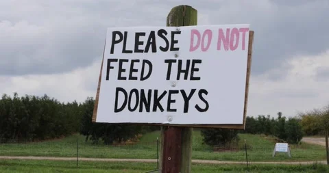 "Do not feed the donkeys" Stock Footage 164124431