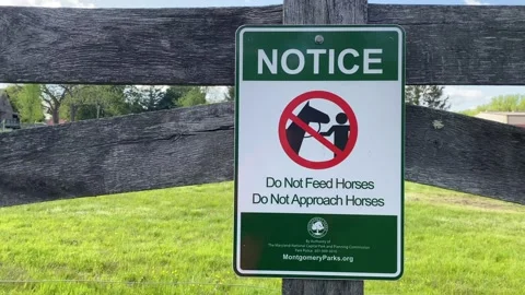 Do not feed horses Stock Footage 130603925