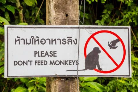 Do not feed monkeys sign in English and Thai Stock Photos