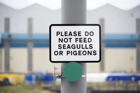 Do not feed seagulls or pigeons sign on private land fence Stock Photos