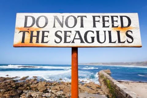 Do not feed the seagulls Stock Photos