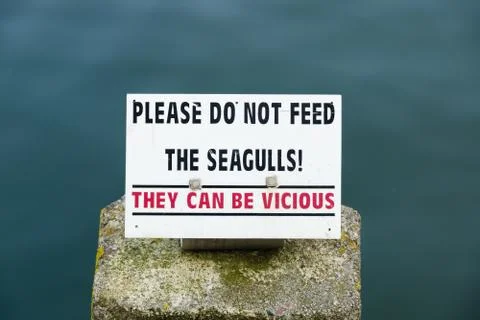 Do Not Feed The Seagulls Stock Photos