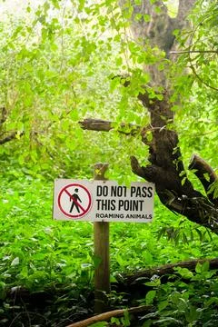 Do Not Pass This Point Sign in the Woods Stockfoto's