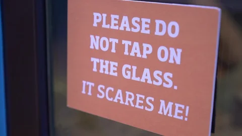 Do not tap on glass sign for animal cage... | Stock Video | Pond5