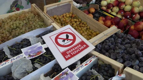 Do not touch sign vegetable market Paris, Covid-19 coronavirus France Stock Footage 139688301