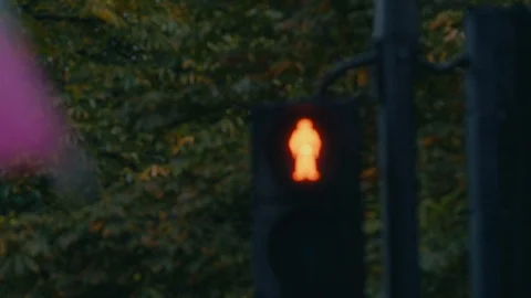 Do not walk traffic light on a wet london street Stock Footage 88956089