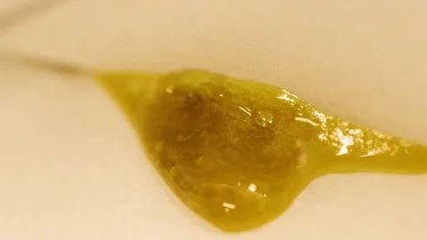 Do-Si-Dos Flower Rosin Bubbling Vídeos de archivo 86171639