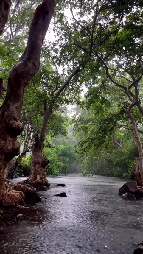 Do you like rain? Vídeo Stock 275565622