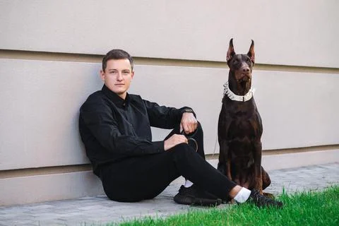 Doberman and man Stock Photos