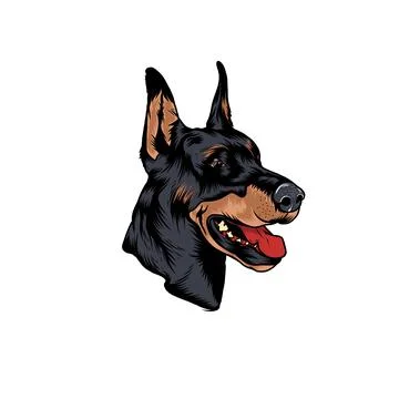 Doberman Stock Illustration