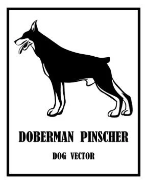 Doberman Pinscher Dog vector eps 10 Stock Illustration