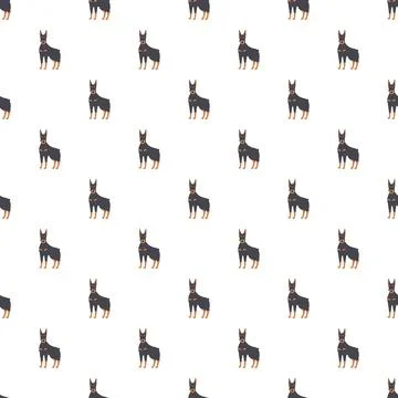 Doberman pinscher dogs seamless pattern background Stock Illustration