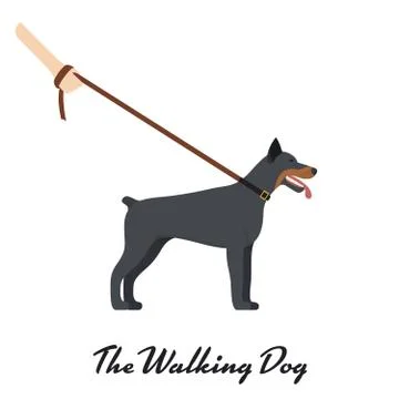 Doberman Pinscher with a leash Stock Illustration