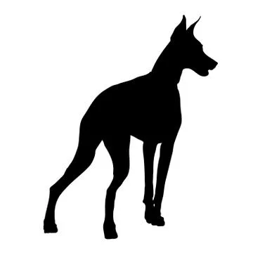 Doberman Silhouette Stock Illustration