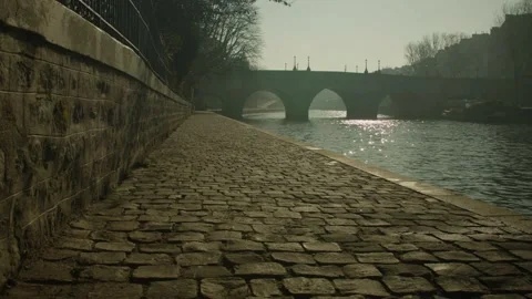 The dock and Le Pont Neuf in Paris Stock Footage 340206417