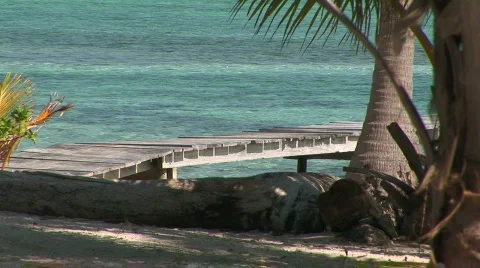 A dock and palm trees Video stock 65499