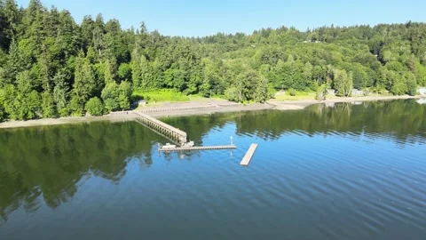 Dock with boat, lush green tree forest, blue sky reflection in calm ocean water Stock Footage 155725831