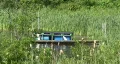 Dock On Boggy Lake HD Footage