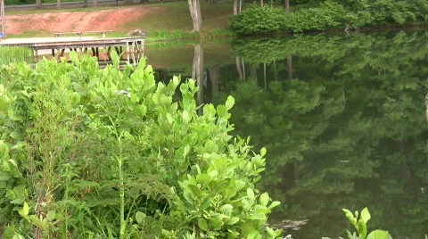 Dock in a calm lake with reflections Stock Footage 461054