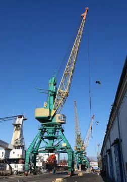 Dock crane in the seaport Фото