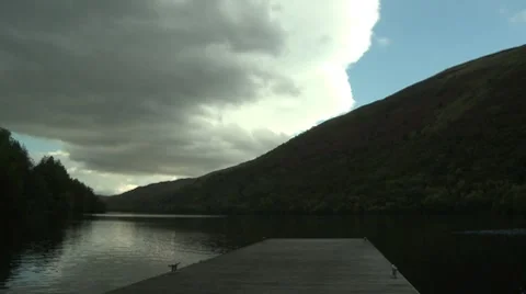 The Dock Ducks Video stock 8570456