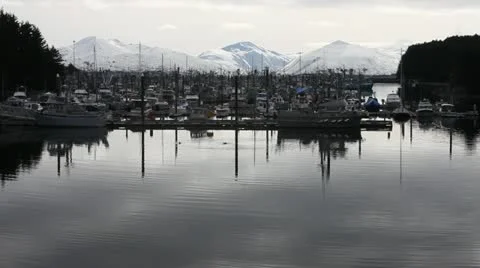 Dock Видео 11060991